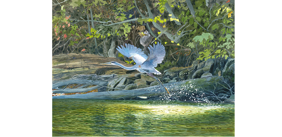 a painting of a water bird taking flight