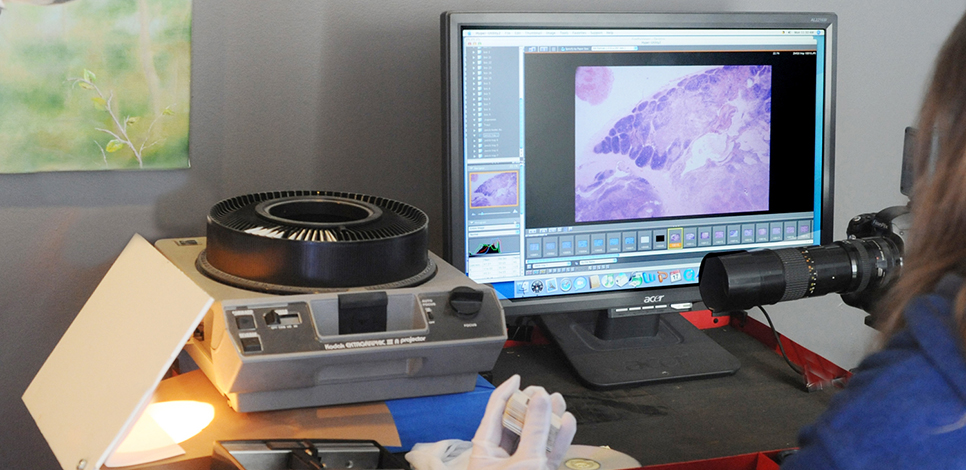 a vintage photo beside a covered wagon
